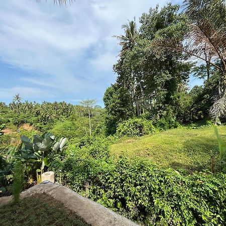 D'Nanda Villa Ubud  Exterior photo