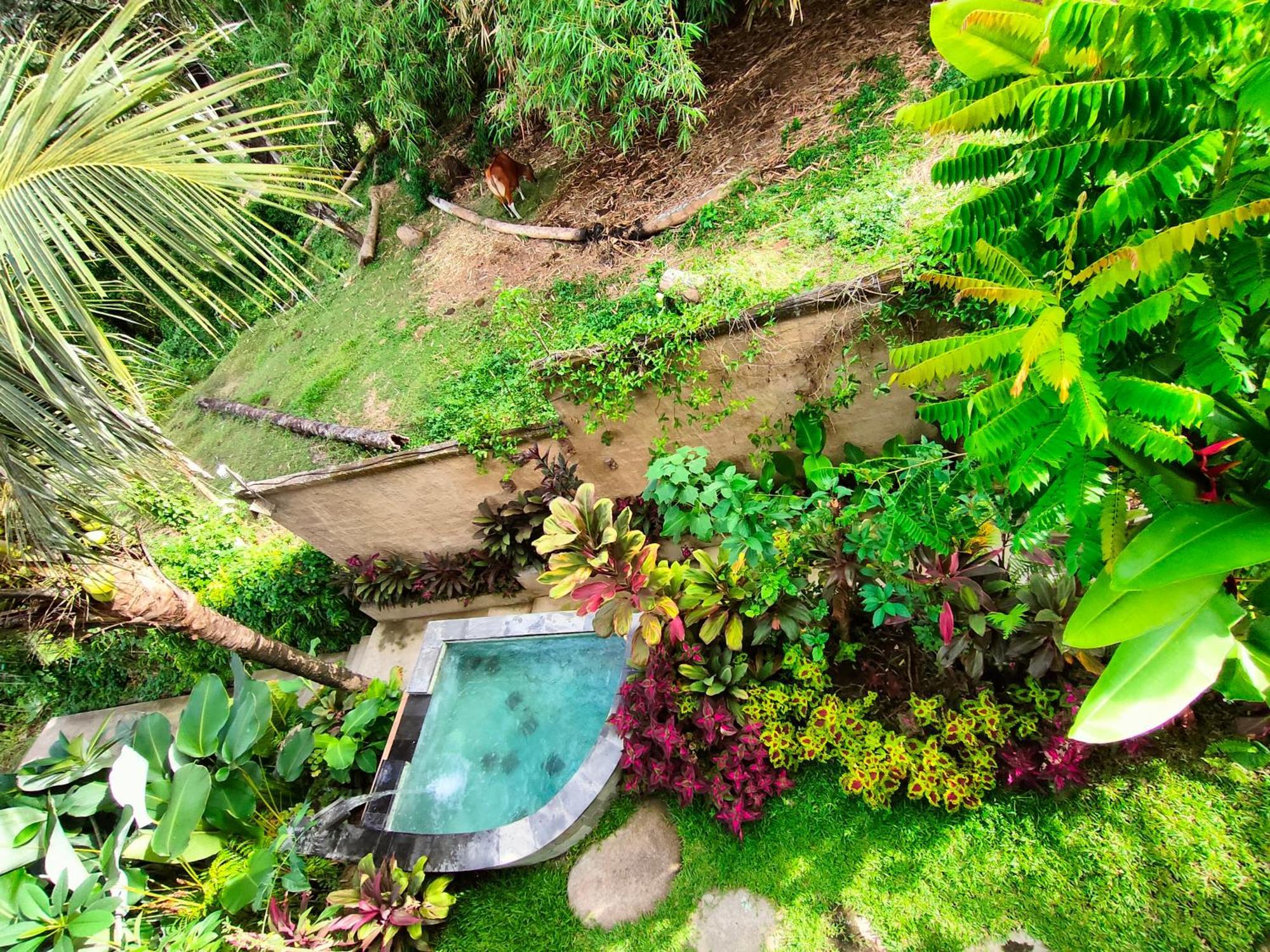D'Nanda Villa Ubud  Exterior photo