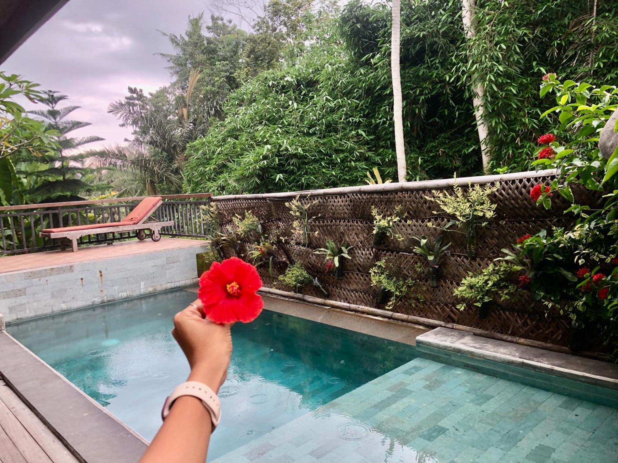 D'Nanda Villa Ubud  Exterior photo