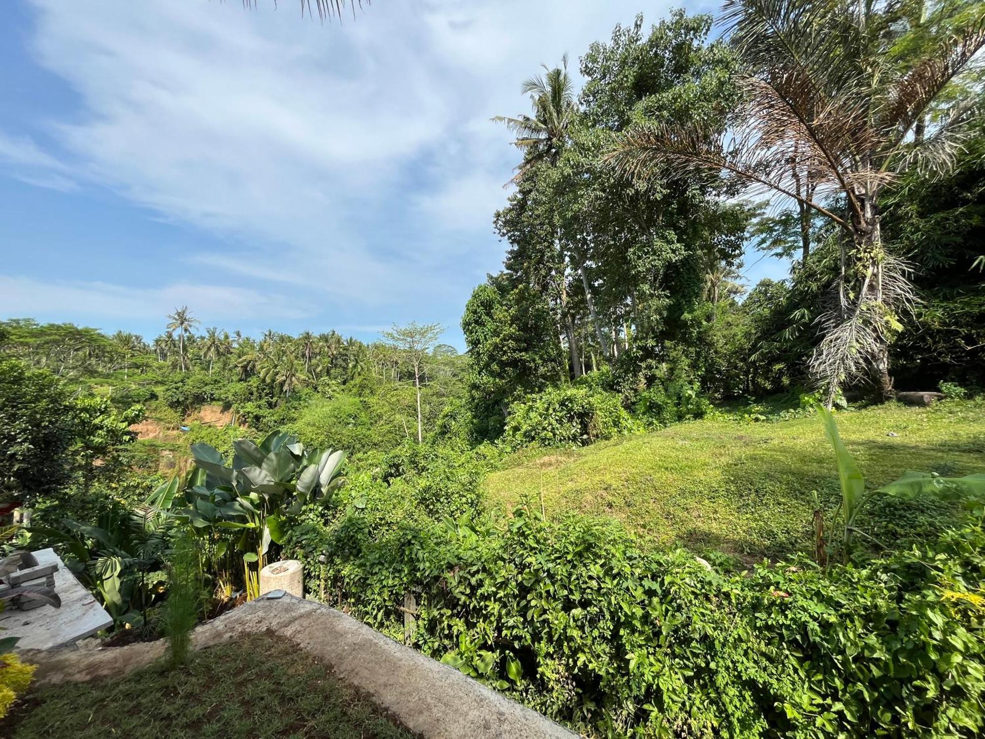 D'Nanda Villa Ubud  Exterior photo