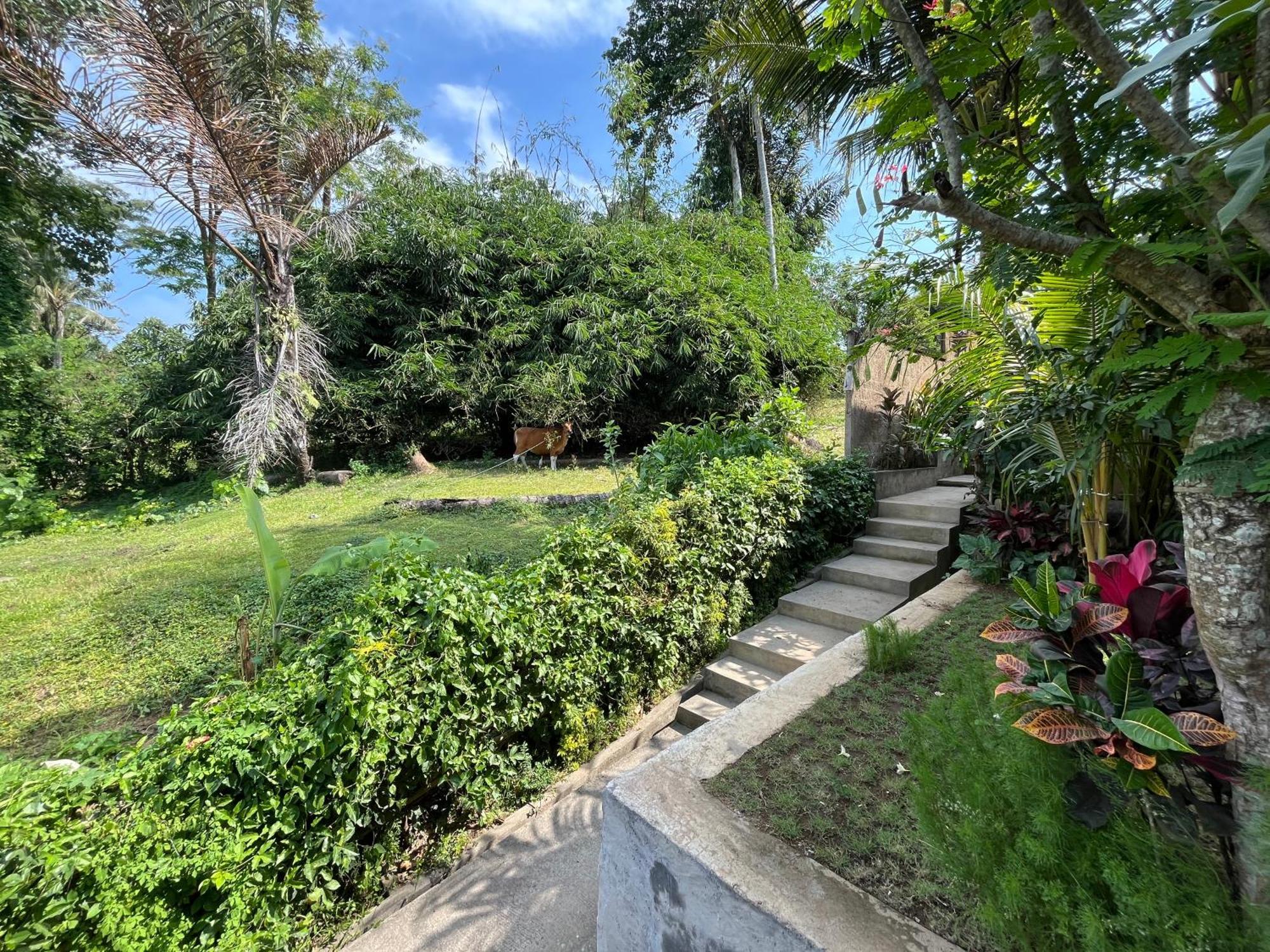 D'Nanda Villa Ubud  Exterior photo